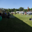 2 x CAC Nemzeti Kutyakiállítás – Pápa