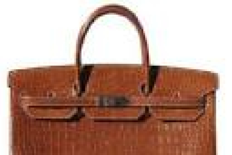 Táskalopó a bíróság előtt