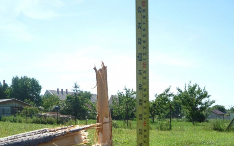 Megrongálta a díszfát