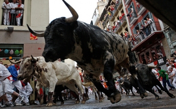 Pokol a bikák számára a híres pamplonai bikafuttatás állatvédők szerint