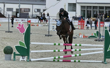 Pápai lovasok országos sikere