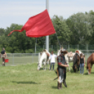 XX. Pápai Agrárexpo - Szombat