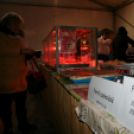 Szent Márton napi Újbor Ünnepe - Szombat