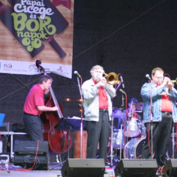 Pápai Cicege és Bornapok 2013 - Borszombat