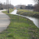 Árad a Bakonyér és a Gerence