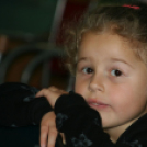 Dé-Mol Színtársulat - A megbűvölt patak