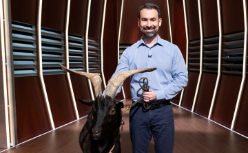 Pápai vendége lesz a Cápák között című műsornak