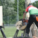XX. Pápai Agrárexpo - Stihl Timbersports