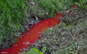 Meghibásodás miatt folyt vér a patakba