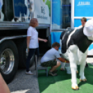 Pápai Agrárexpo - 2018 - Vasárnap