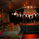 Szent Márton-napi Újbor Ünnepe - Pápa - 2018