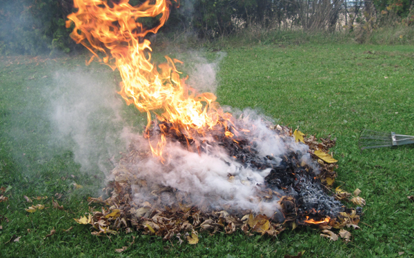Betiltják az avarégetést Magyarországon