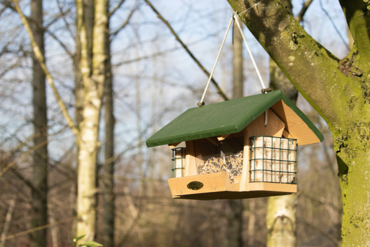 A kukorica sokoldalú felhasználása