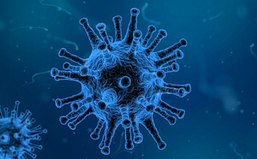 10 kérdés, 10 válasz a koronavírusról