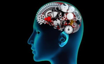 Tényleg csak 10%-ot használunk az agyunból?