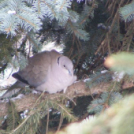 Havazás - Ahogy olvasóink látják