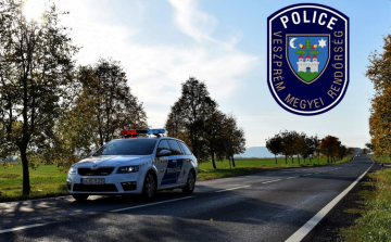 Körzeti megbízottak értek tetten fémtolvajokat