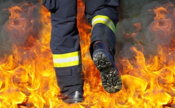 Tűzgyújtási tilalmat rendeltek el hét megyében
