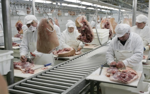 Csődeljárás a Pápai Húsnál!