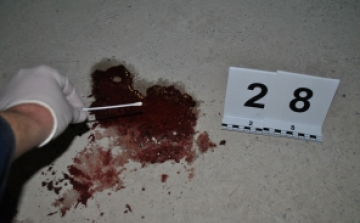 Embert ölhetett D. Sándor!