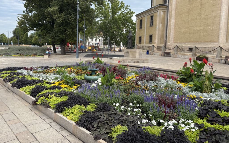 Tiszta és Virágos Veszprém Vármegyéért - Kiváló minősítést kapott Pápa