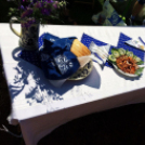 Jó idő és kiváló hangulat a Városrészi Majálison