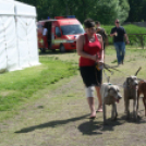 2 x CAC Nemzeti Kutyakiállítás – Pápa