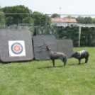 XX. Pápai Agrárexpo - Szombat