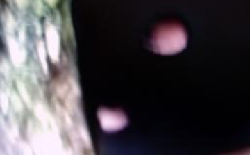 Rablás Gyarmaton - Egy férfi megsérült