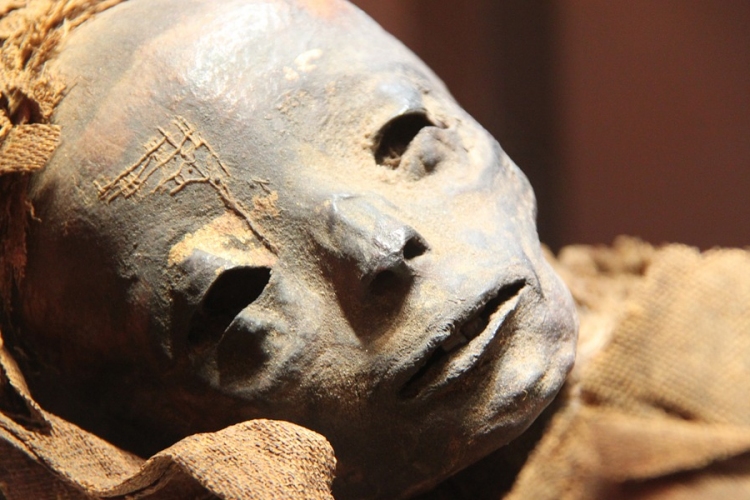 Legalább 34 múmiára bukkantak egy egyiptomi ókori sír feltárásakor