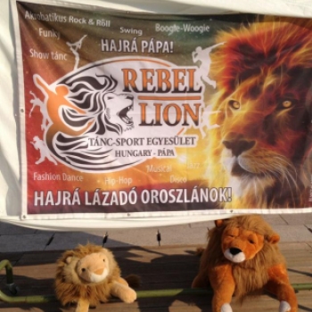 Rebel Lion Táncgála