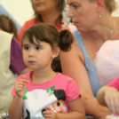 Vajda Péter Lakótelepi Nap