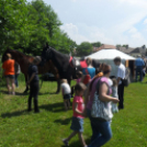 Süss Fel Nap - PÁNKE Gyermeknap - Tapolcafő