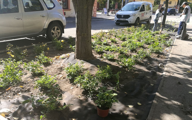 Virágosítják a vasútállomás környezetét