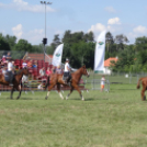 Pápai Agrárexpo - 2018 - Szombat