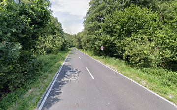 Veszélyessé vált fák kivágása miatt forgalomkorlátozásra kell számítani a Pápa-Zirc szakaszon