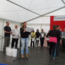 Vajda Péter Lakótelepi Nap - Pápa