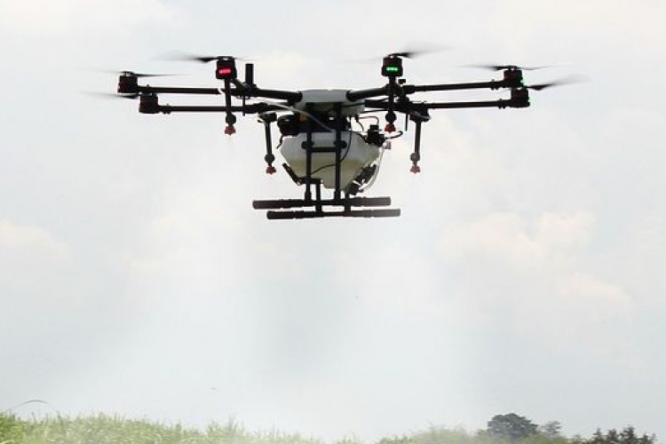 Drónnal permetezik a Külső-várkerti tavat - Videó