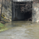 Árad a Bakonyér és a Gerence