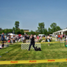 2 x CAC Nemzeti Kutyakiállítás – Pápa