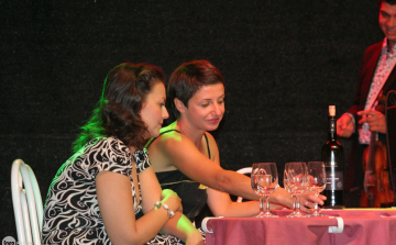 Újra az Esterházy-kastély udvarán lesz a Borfesztivál