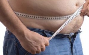 Elhízást okozhat a bélbaktérium