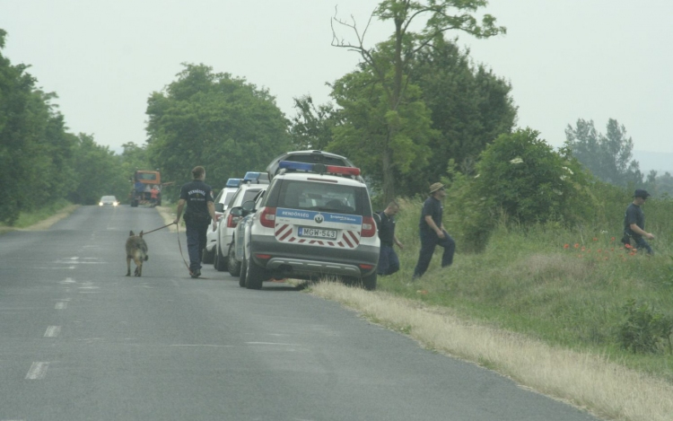 Állatok hurcolhatták a lábat az árokpartra?