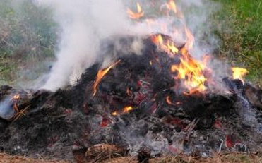 Gumiégetés miatt állhat bíróság elé