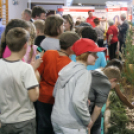 XVII. Pápai Agrárexpo - Megnyitó - Pápa