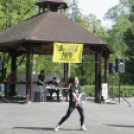 Mozdulj Pápa - 2016