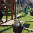 Városi Gyermeknap - Pápa