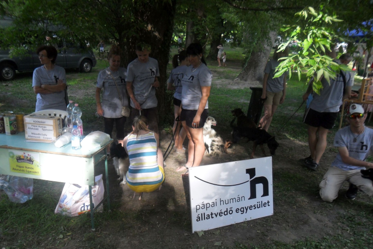 Pápai Játékfesztivál 2016 - Szombat