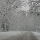 40 cm hó Pápán - 2013