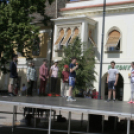 Vissza a Forráshoz - VII. Ökumenikus Nap - Pápa